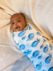 Whale, Whale, Whale Swaddle