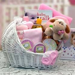 Double Delight Twins New Babies Gift Basket - Pink