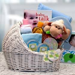 Double Delight Twins New Baby Gift Basket - Blue